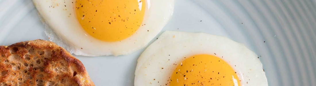 Perfeggt to Launch Vegan Eggs Made From Fava Beans